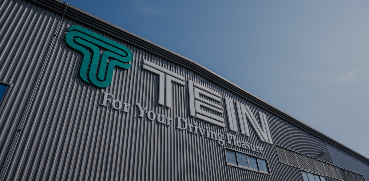 テインサスペンションとは